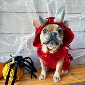 PET RED WINGED DEVIL HALLOWEEN COSTUME *SMALL DOG, PUPPY, CAT *XS *NEW